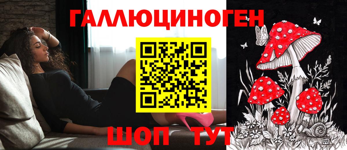 Галлюциногенные грибы Psilocybe Великие Луки