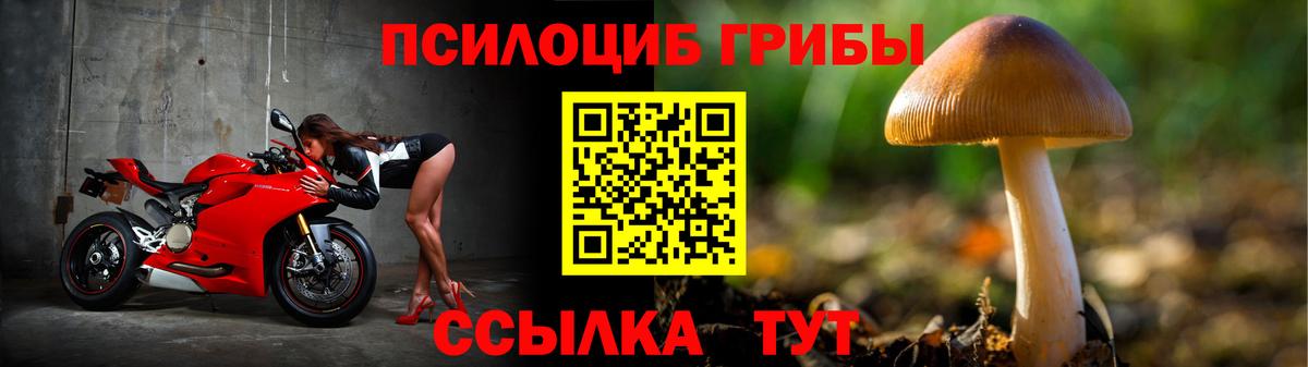 Великие Луки  Галлюциногенные грибы Psilocybine cubensis  Вход с VPN 